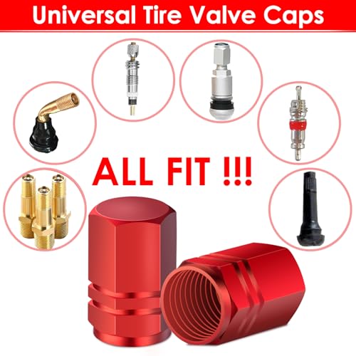 5 Pack Black Schrader Valve Cap H414