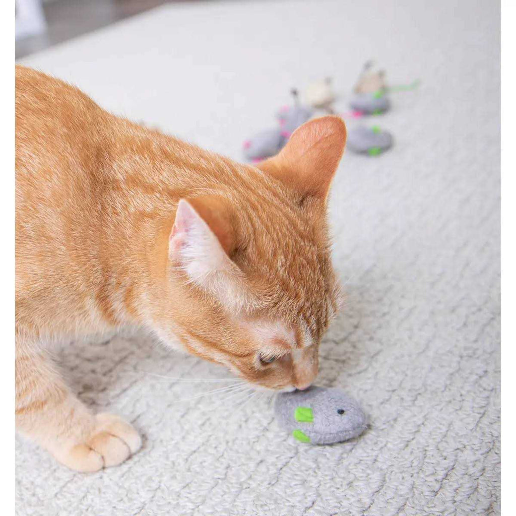 Catnip Toys G126806