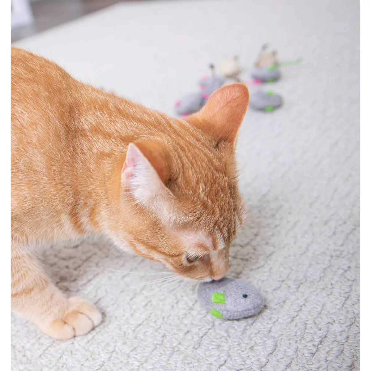 Catnip Toys G126806