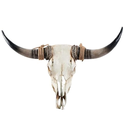 Black Longhorn Cow Skull Wall Decor, 31 x 24 x 7 inch Q687346