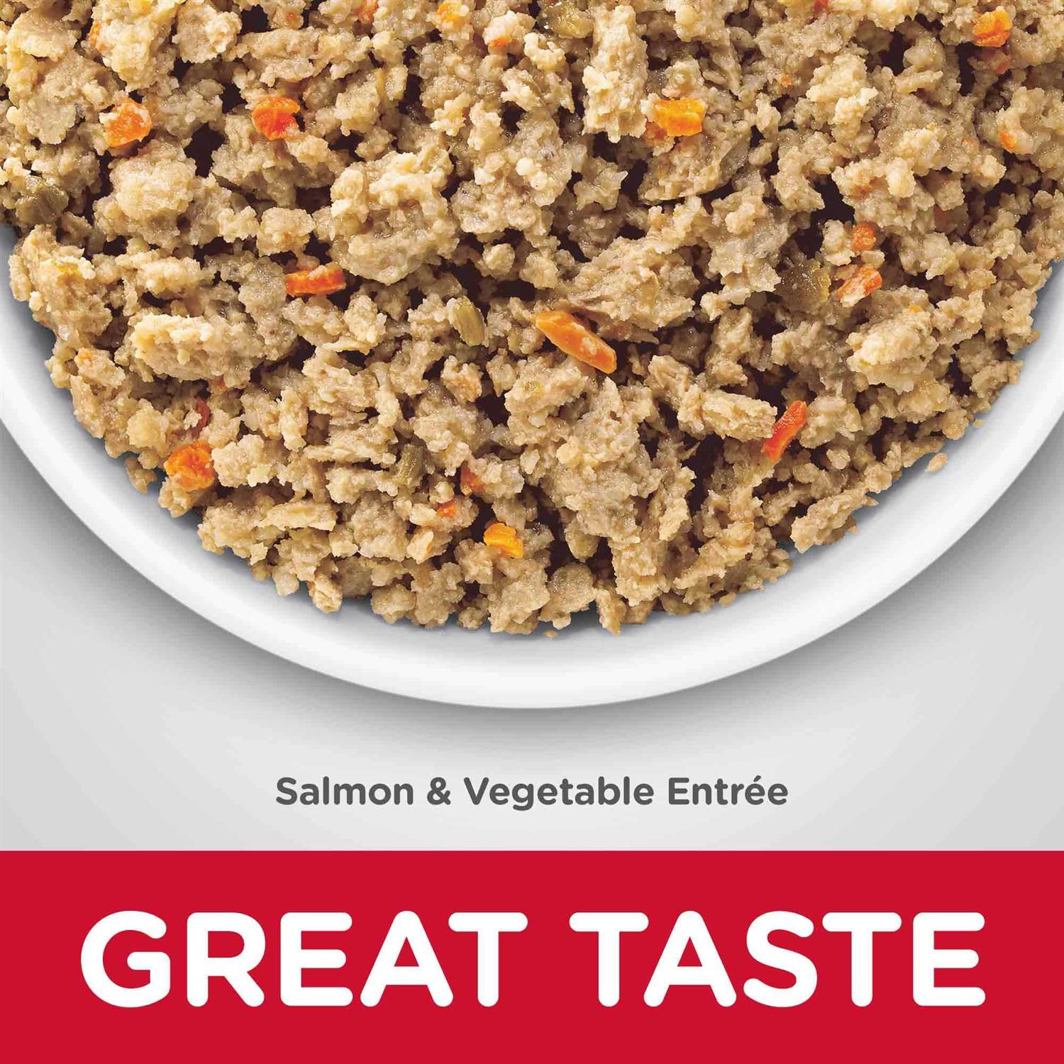 Adult Sensitive Stomach & Skin Dog Food A983