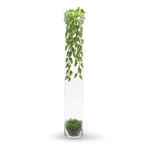 Thick Weighted Tall Clear Cylinder Glass Vase, 4" W x 20" H, 1 Piece P909
