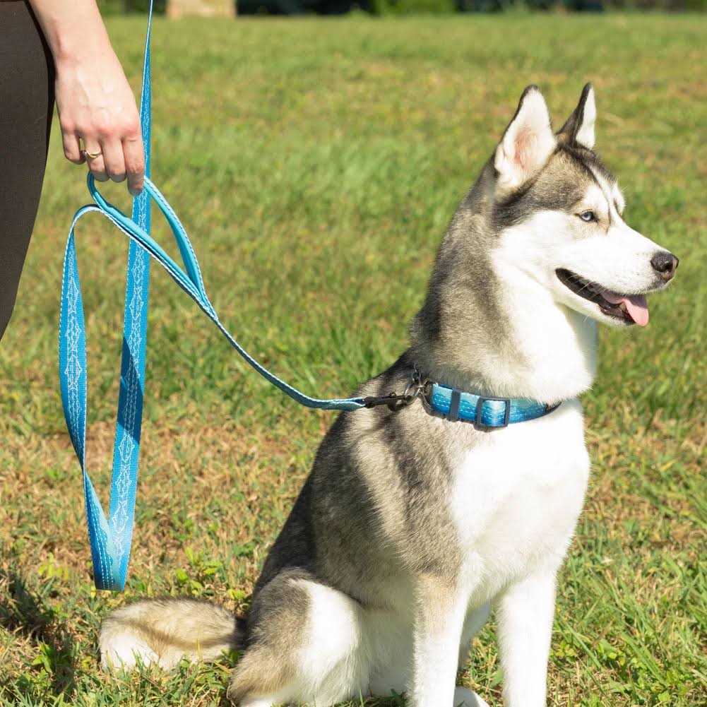 Patterned Reflective Chain Martingale Dog Collar H824