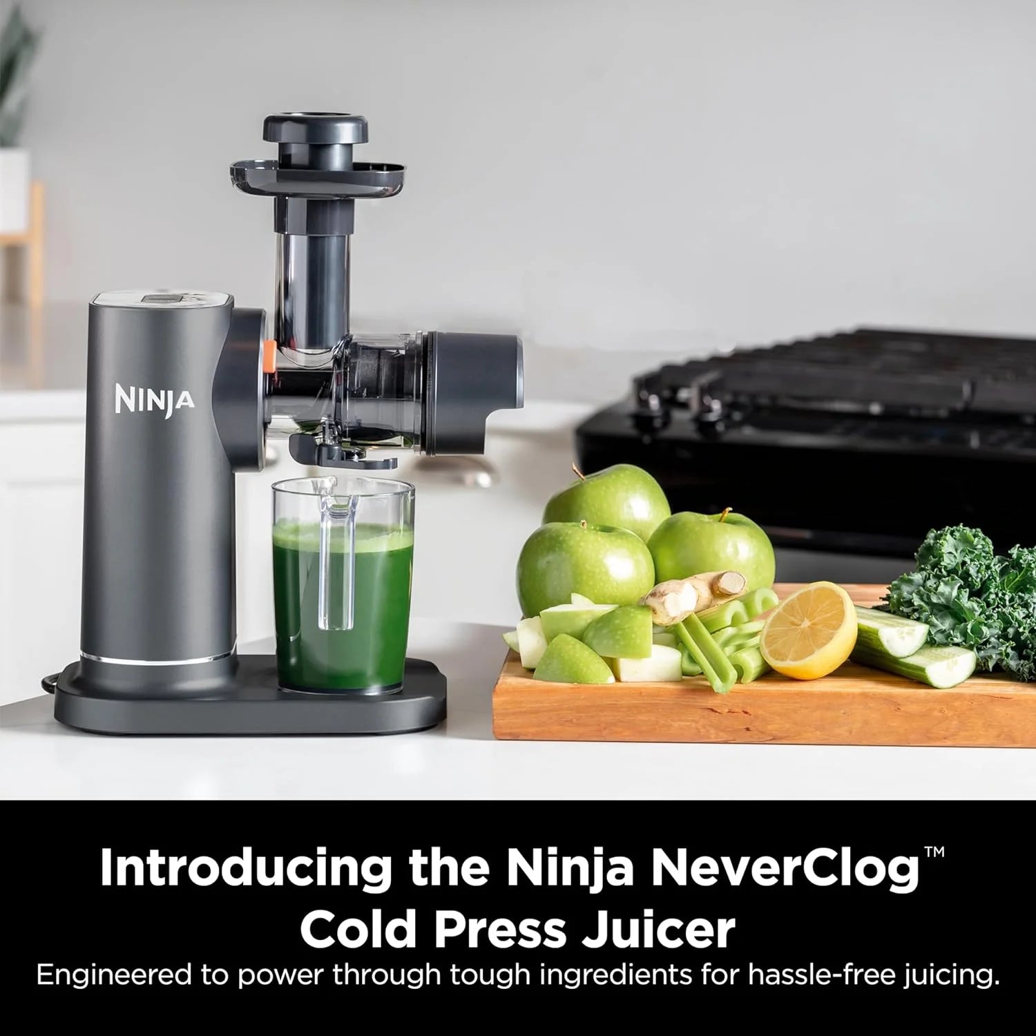 Charcoal Cold Press Juicer X7866