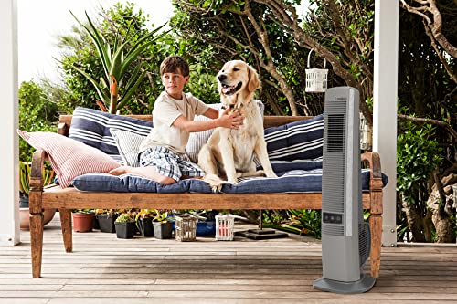 42" Black Portable Outdoor Tower Fan with 4 Speeds C1619