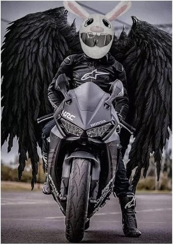 Plush Full Face Motorcycle Helmet Cover R22741
