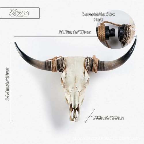 Black Longhorn Cow Skull Wall Decor, 31 x 24 x 7 inch Q687346