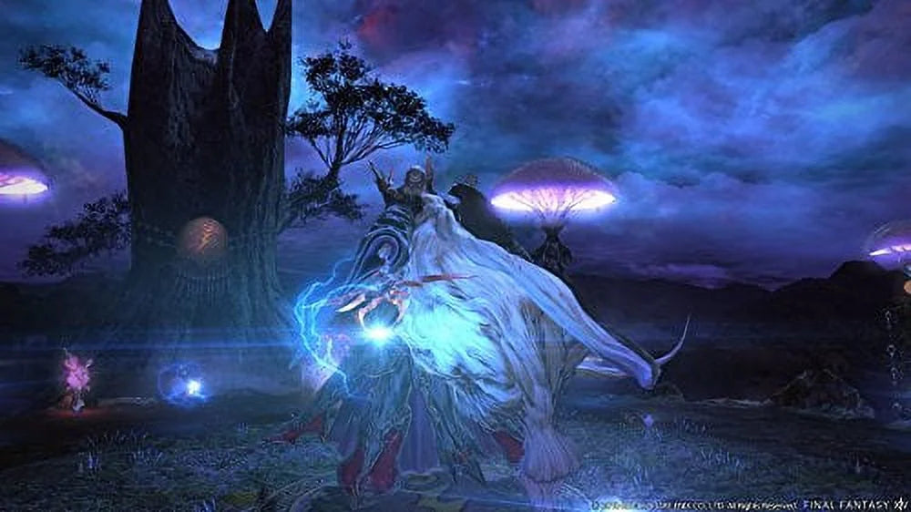 Final Fantasy XIV Online Starter Edition (PS4) X586552