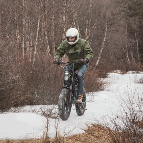 1000W Electric Bike with 48V 26Ah Battery K1493