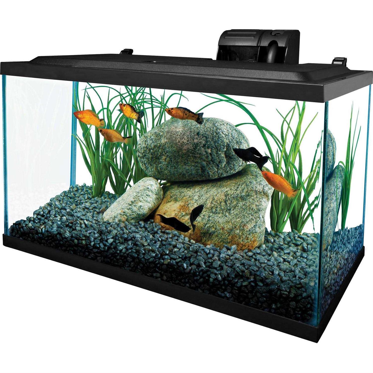 10 Gallons Glass Aquarium J33948