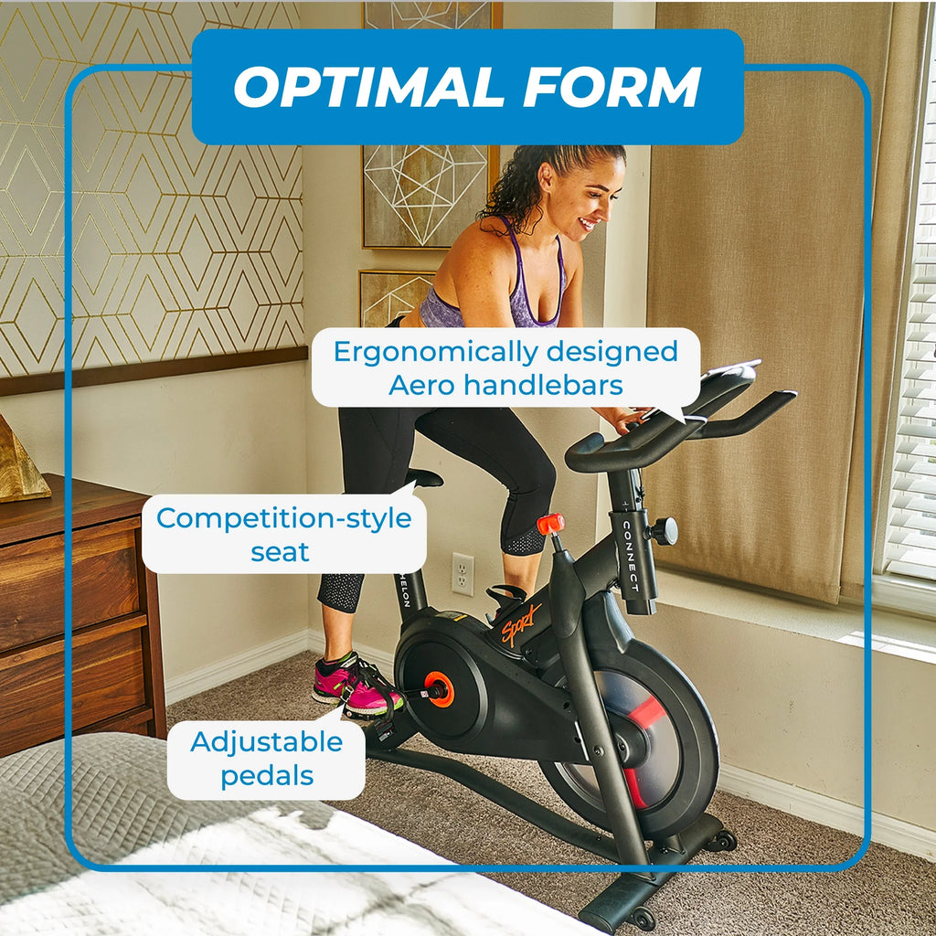 Indoor Cycling Exercise Bike H52541