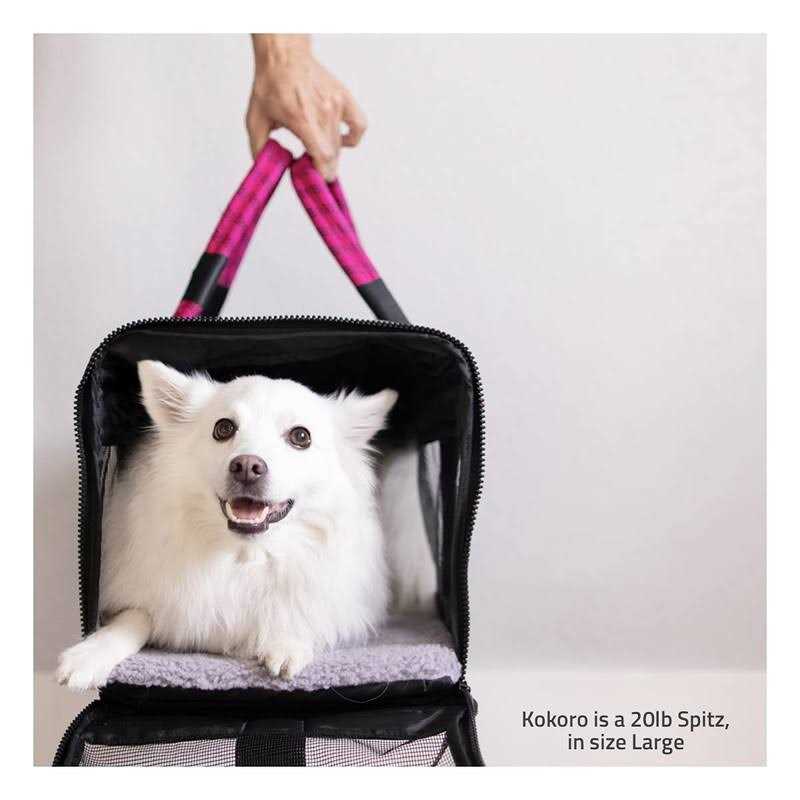 Pet Carrier B537220