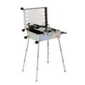 Silver Stripe Aluminum Rolling Makeup Train Case with Lighted Mirror X88533
