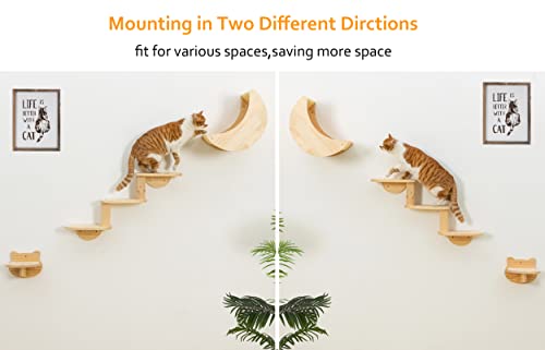 Solid Wood Cat Wall Shelves 3pcs/Set Q188
