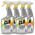 32 Ounce Pack of 4 Bleach-Free Stain Remover Spray G152