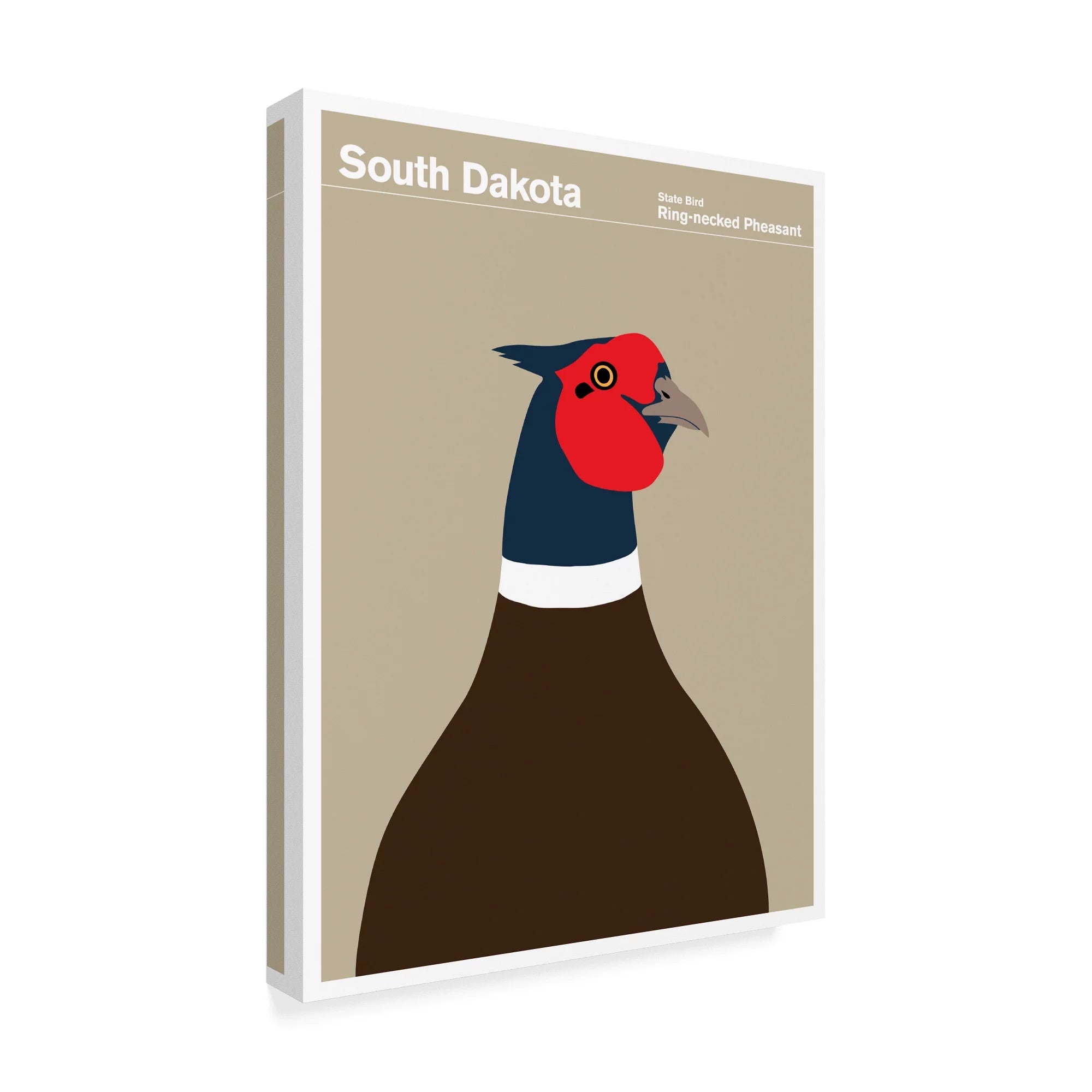 South Dakota Pheasant Canvas Art A5225