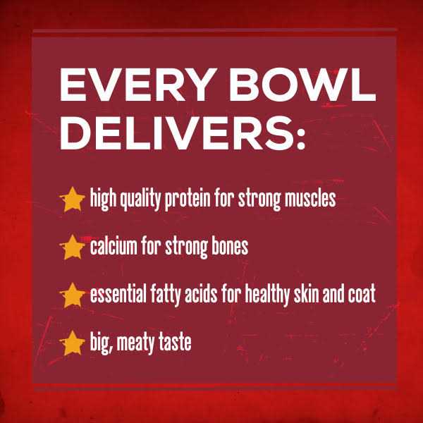 Savory Beef Dry Dog Food K49009