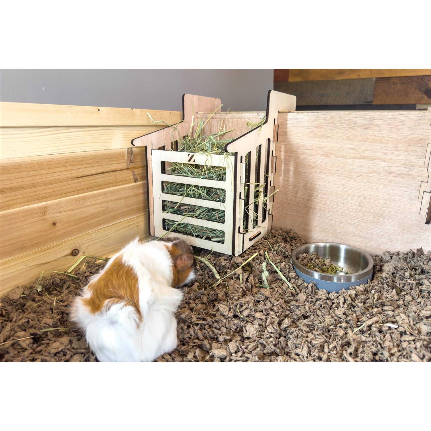Guinea-Pig Habitat D172