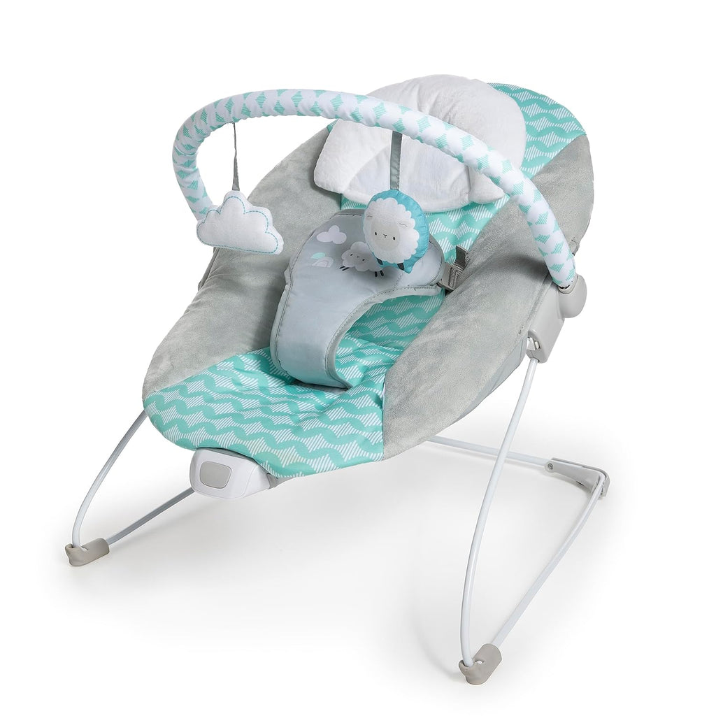 Baby Bouncer Seat, 0-6 Months Up to 20 lbs (Goji) F879073