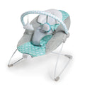 Baby Bouncer Seat, 0-6 Months Up to 20 lbs (Goji) F879073