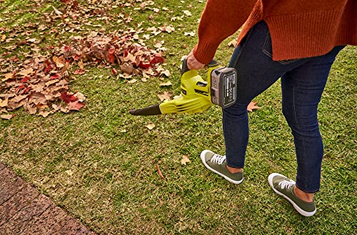 18 V Cordless Blower M2935