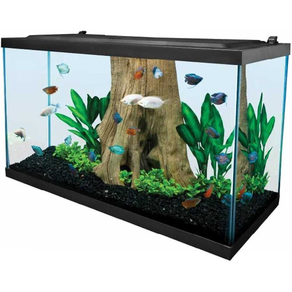 29 Gallon Glass LED Aquarium Kit R14348