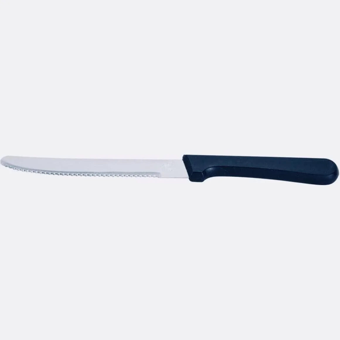 5-Inch Blade Steak Knives, Stainless Steel Serrated Blade With Plastic Handles D903621