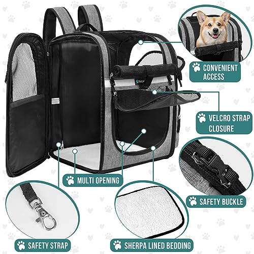 Black Dog Backpack Carrier U68158