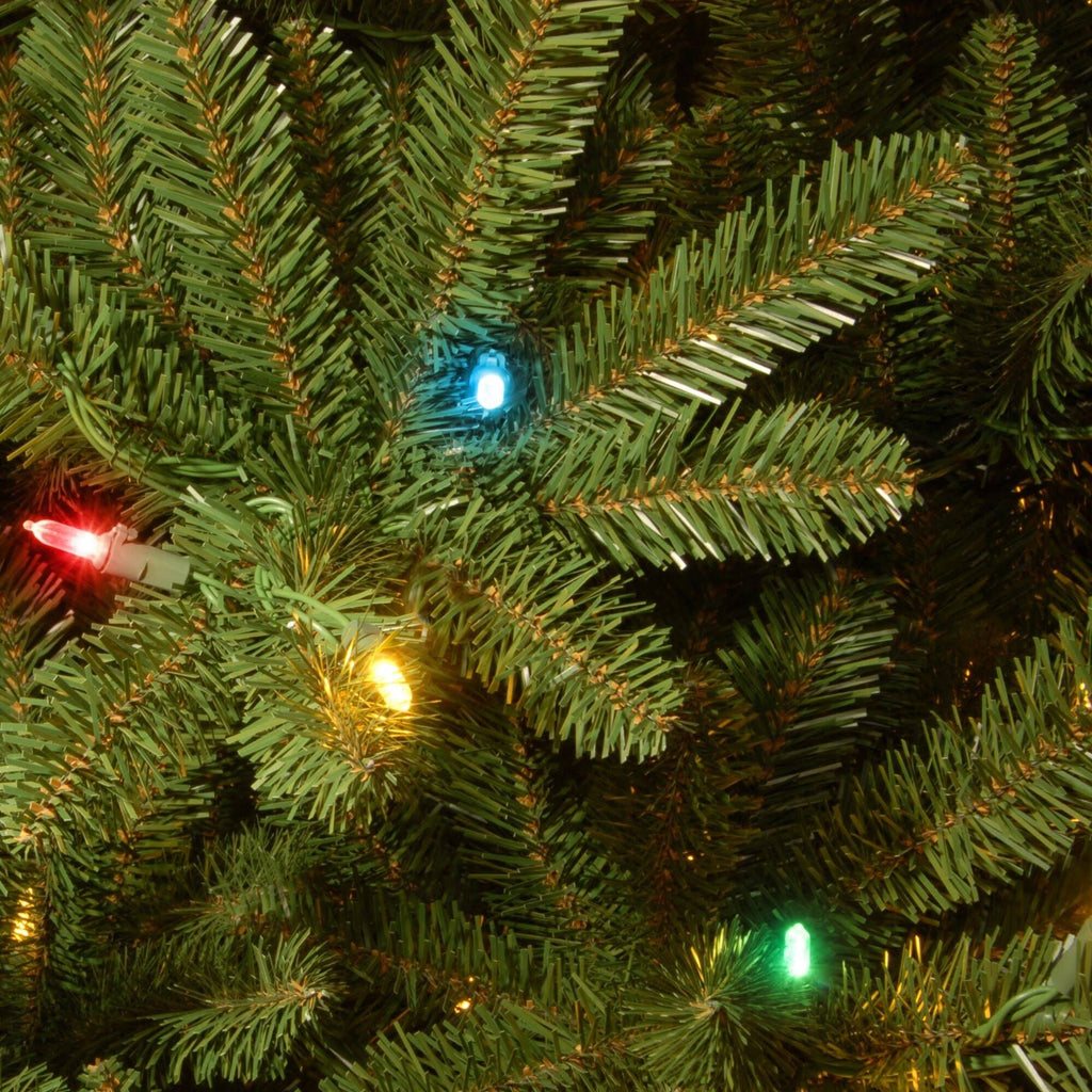 6.5 ft Natural Fraser Medium Fir Tree with Multi-Color Lights W63839