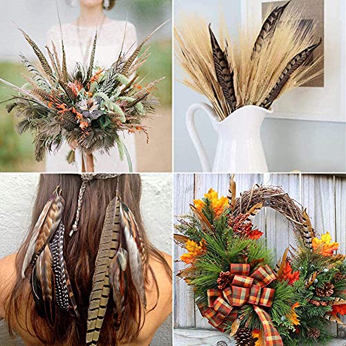 Natural Pheasant Feathers 12pcs 15-20cm W236