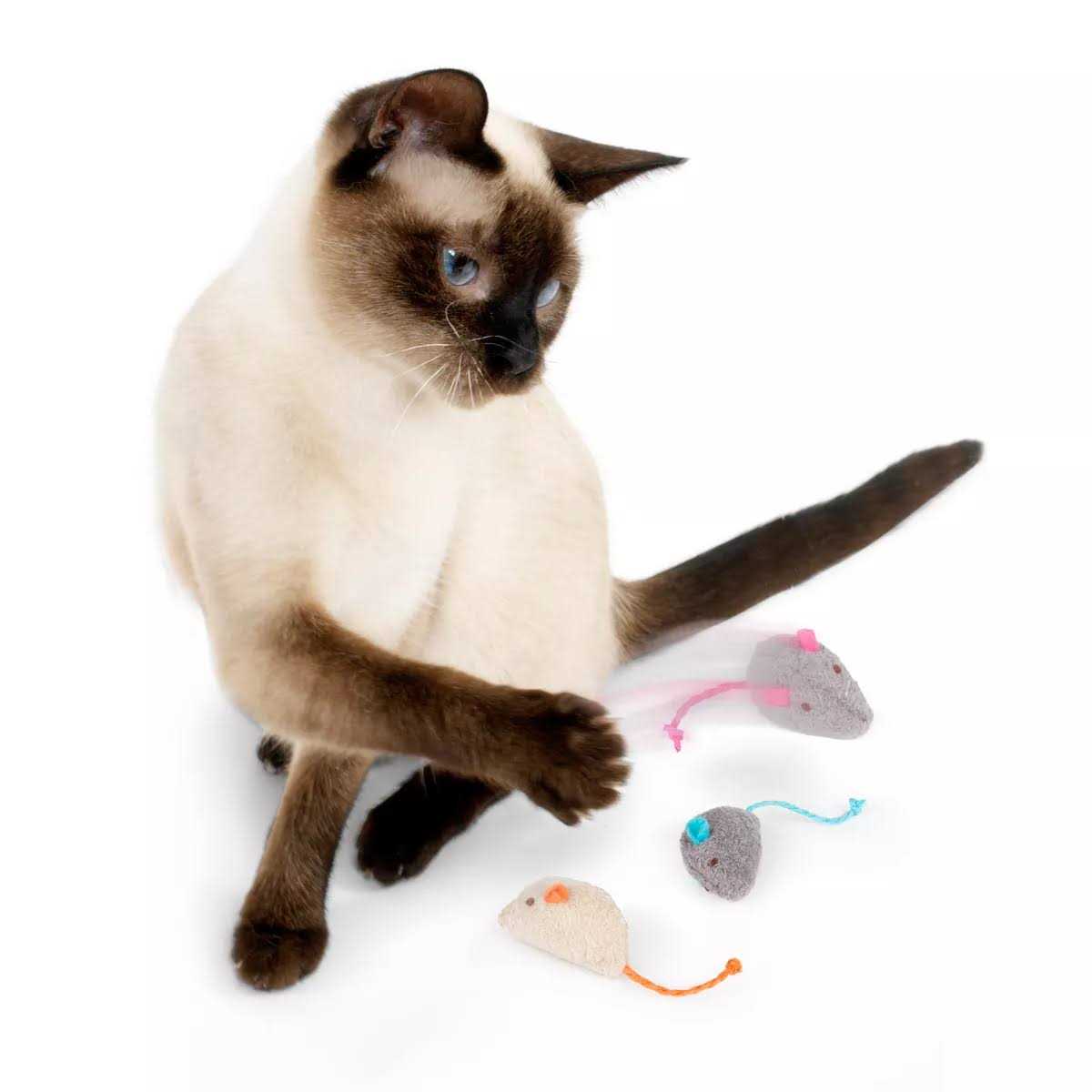 Catnip Toys G126806