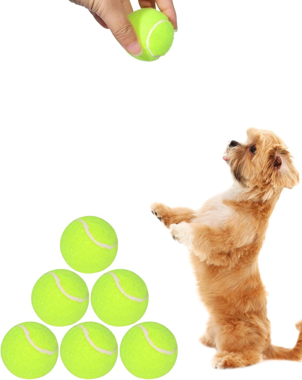 2-Inch Tennis Balls for Dogs (12 Balls) F1025