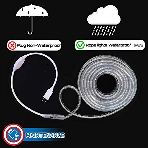Blue LED Rope Lights 50 Z5959