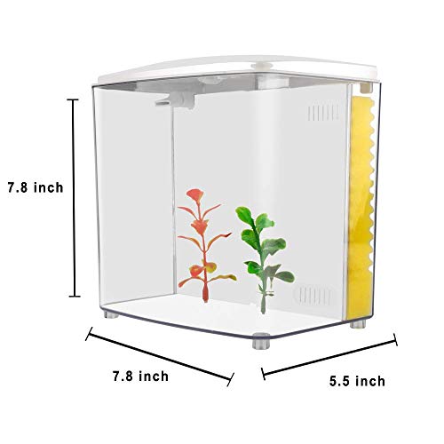 1.2 Gallon Square Fish Tank with LED Light and Filter Pump J7193