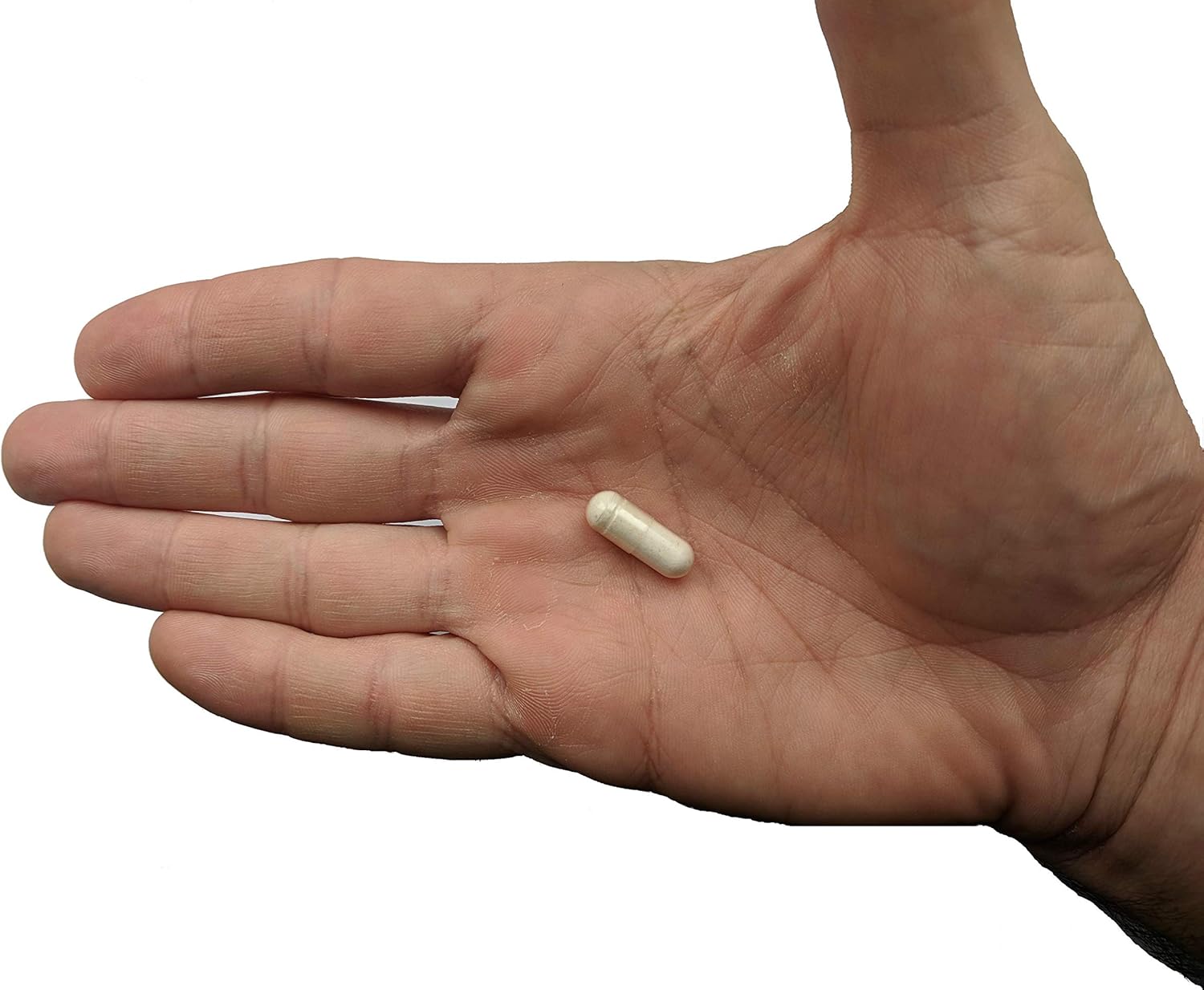 Probiotic plus Prebiotic - 4.4 Bn CFU - Bacillus Subtilis Y8903
