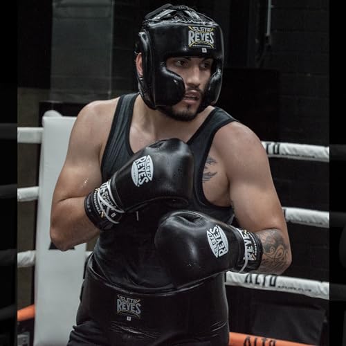 Traditional Professional Boxing Gloves with Laces J760