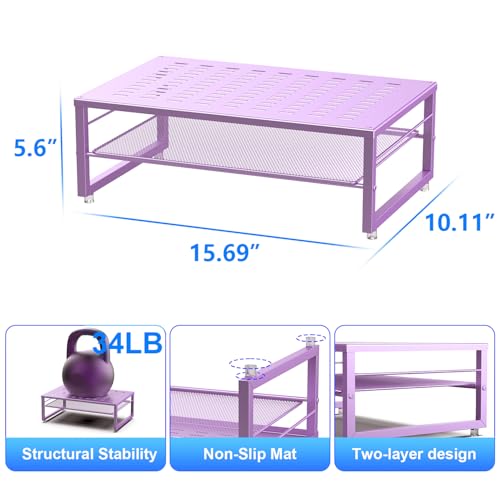 2-Tier Metal Monitor Stand Riser (Black) N4833