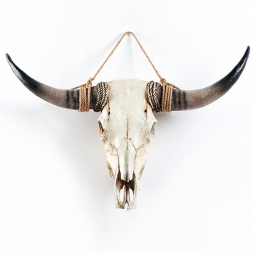 Black Longhorn Cow Skull Wall Decor, 31 x 24 x 7 inch Q687346