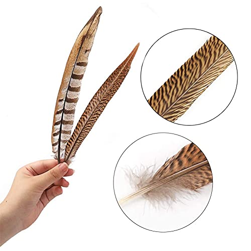 Natural Pheasant Feathers 12pcs 15-20cm W236