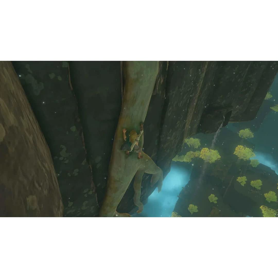 The Legend of Zelda: Tears of the Kingdom for Nintendo Switch A21061