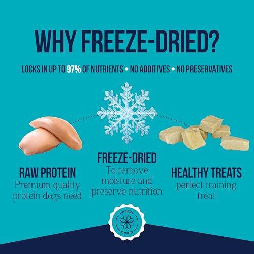 Freeze Dried Raw Chicken Breast Dog Treats, 14.8 Ounce Resealable Tub O405