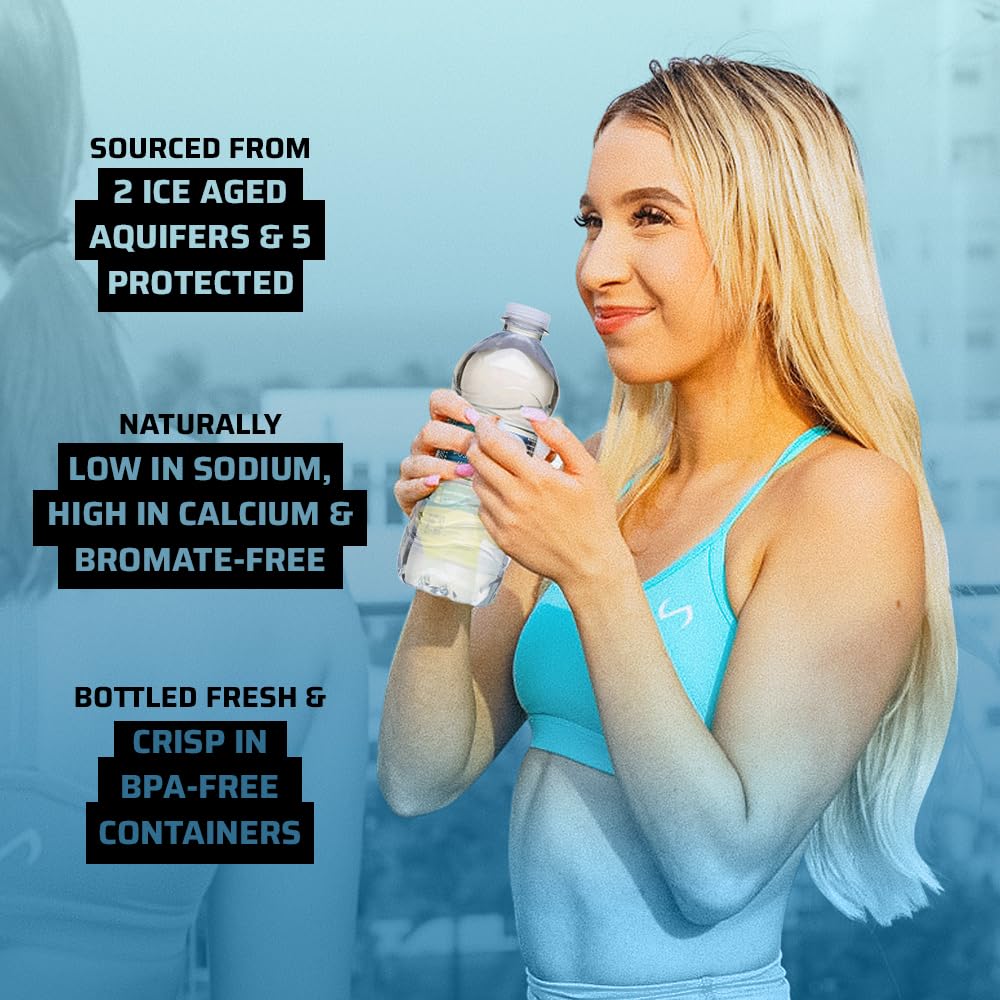 Natural Spring Water - 10 fl oz - 12 Bottles N449