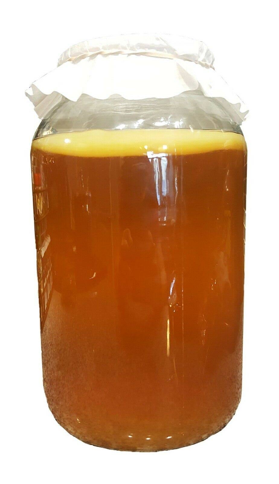 Kombucha Starter Kit with SCOBY, Starter Tea, Organic Sugar, Gallon Glass Jar with Lid T12499