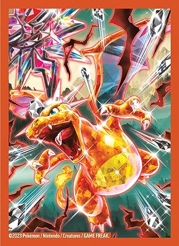 Charizard ex Premium Collection L45879