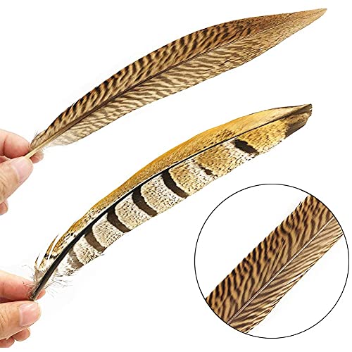 Natural Pheasant Feathers 12pcs 15-20cm W236