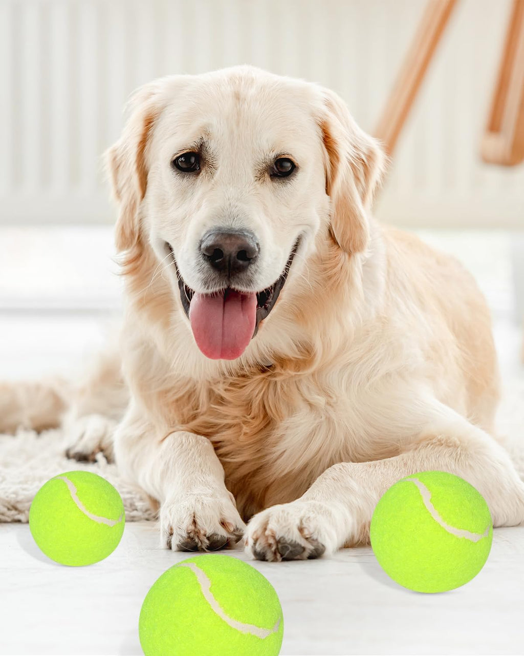 2-Inch Tennis Balls for Dogs (12 Balls) F1025