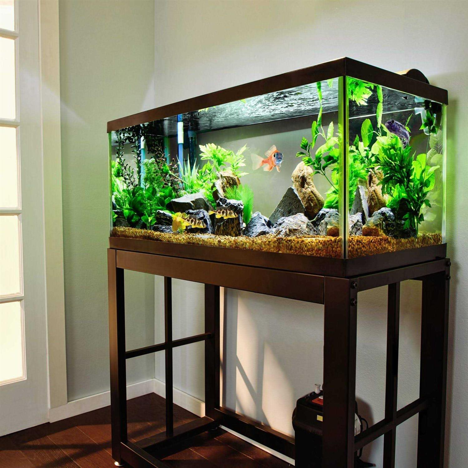 Black Aquarium E81229