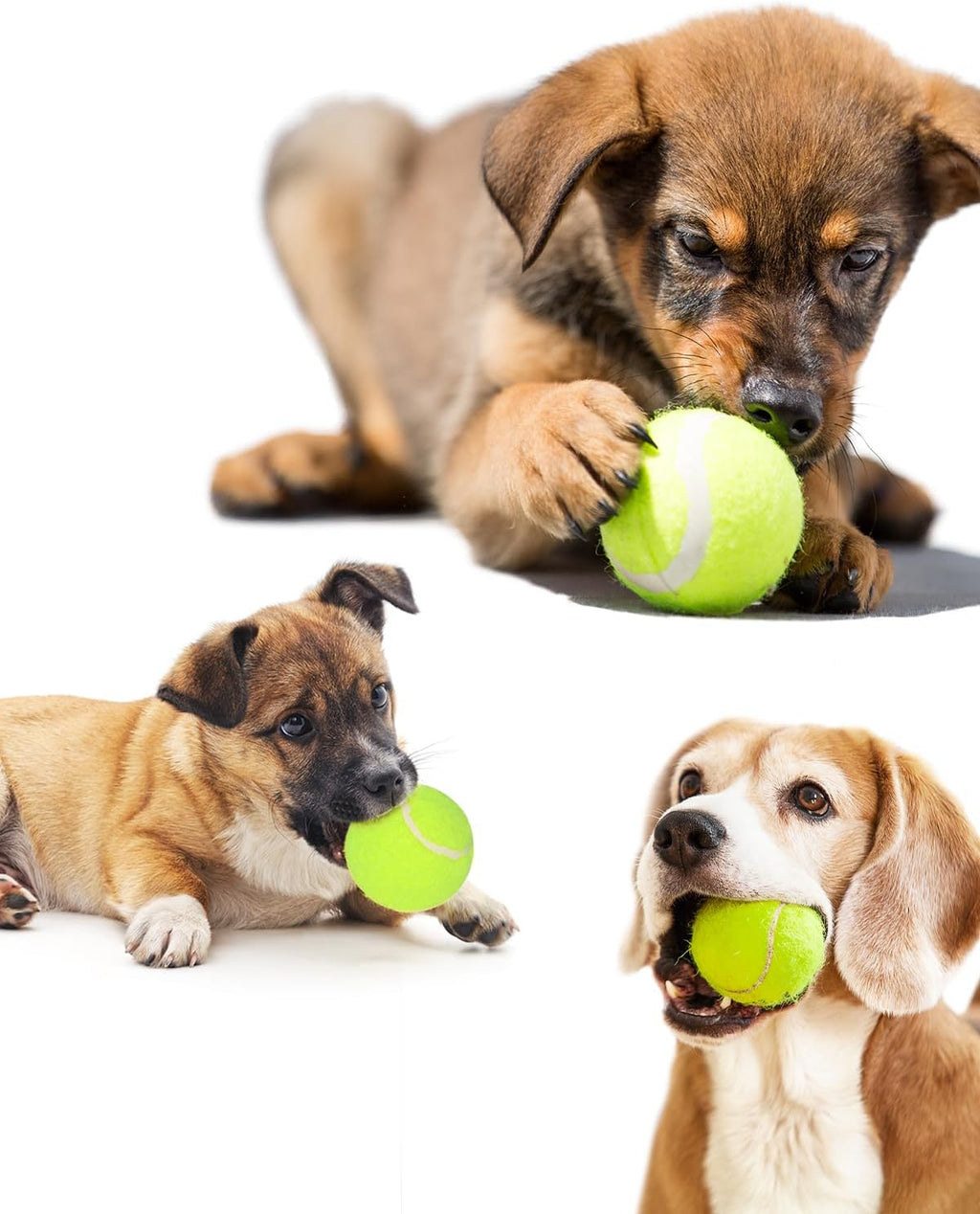 2-Inch Tennis Balls for Dogs (12 Balls) F1025