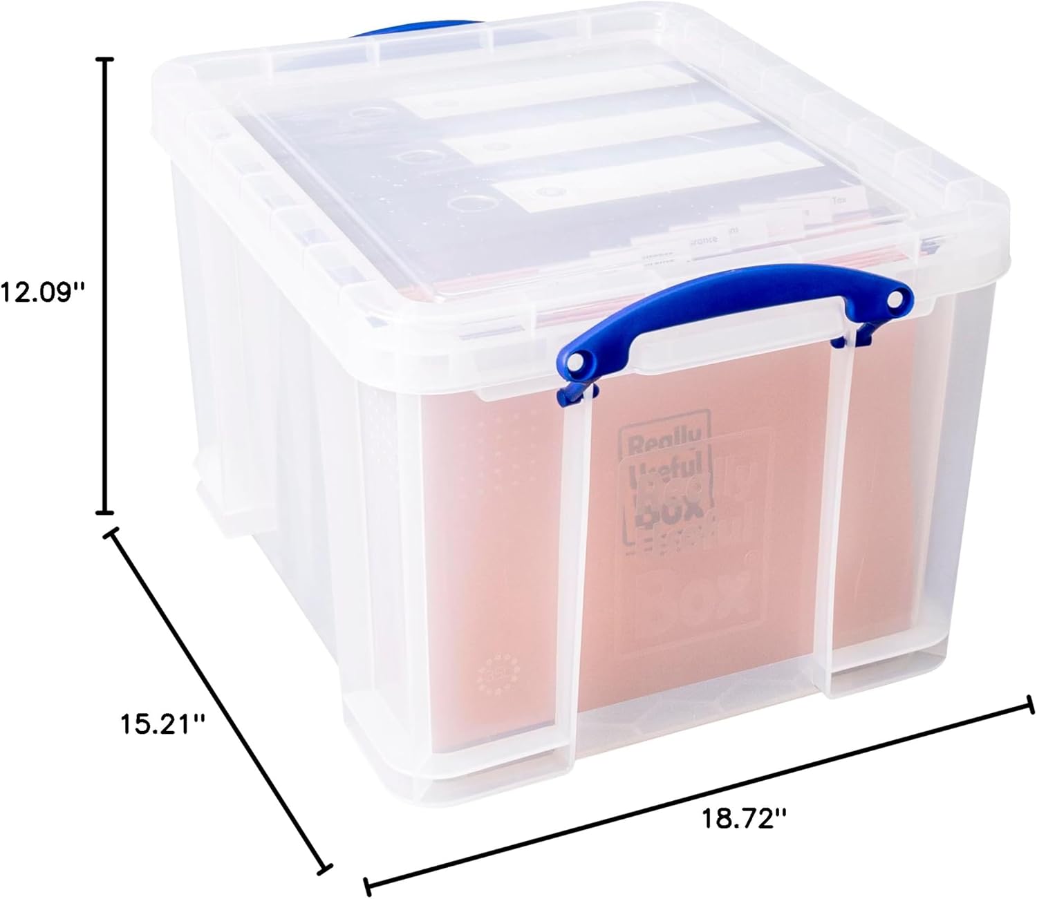 35 Litre Clear Storage Box with 2 Dividers Y473
