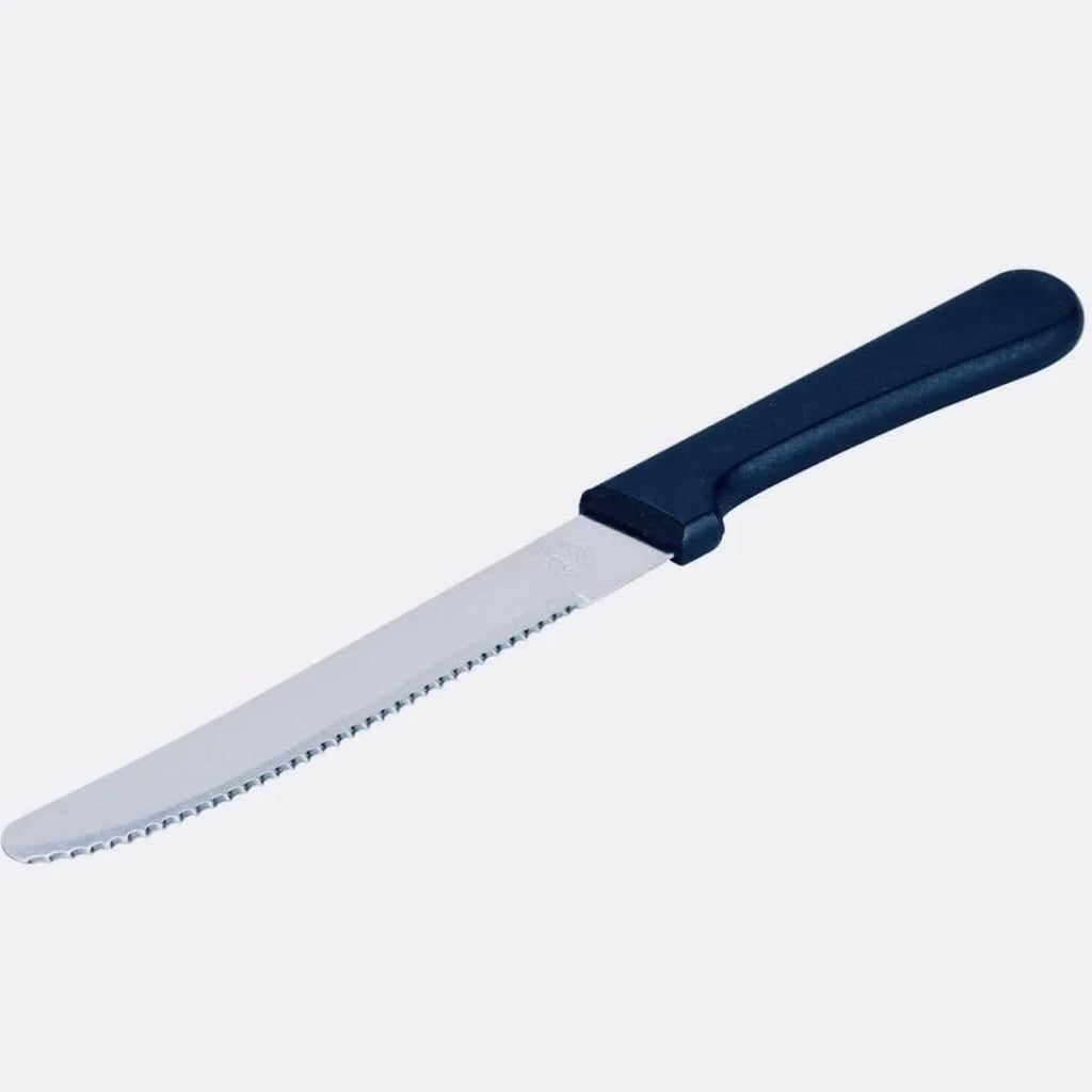 5-Inch Blade Steak Knives, Stainless Steel Serrated Blade With Plastic Handles D903621